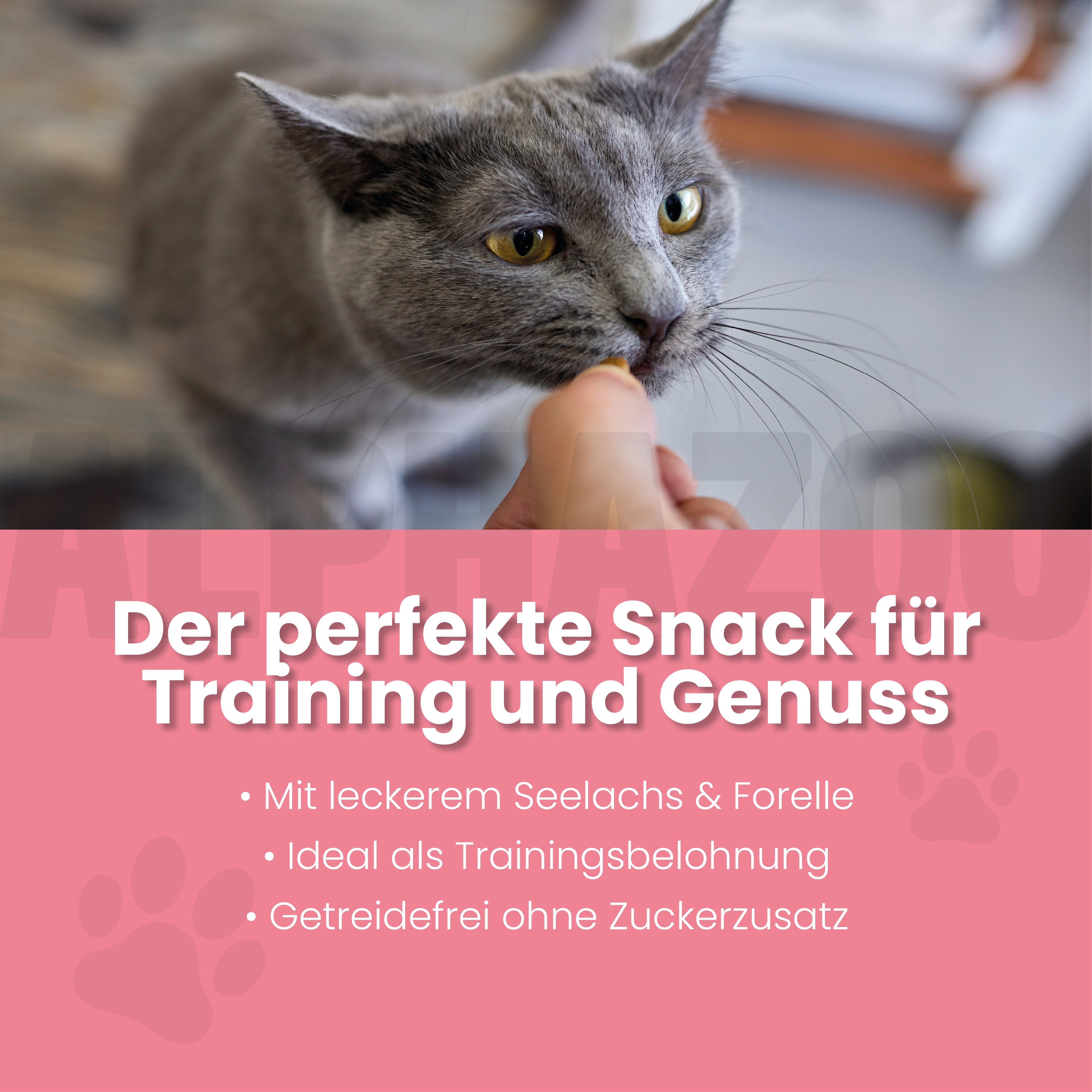 Butter Bei Die Fische! – Softsnack für Katzen, Seelachs & Forelle, getreidefrei