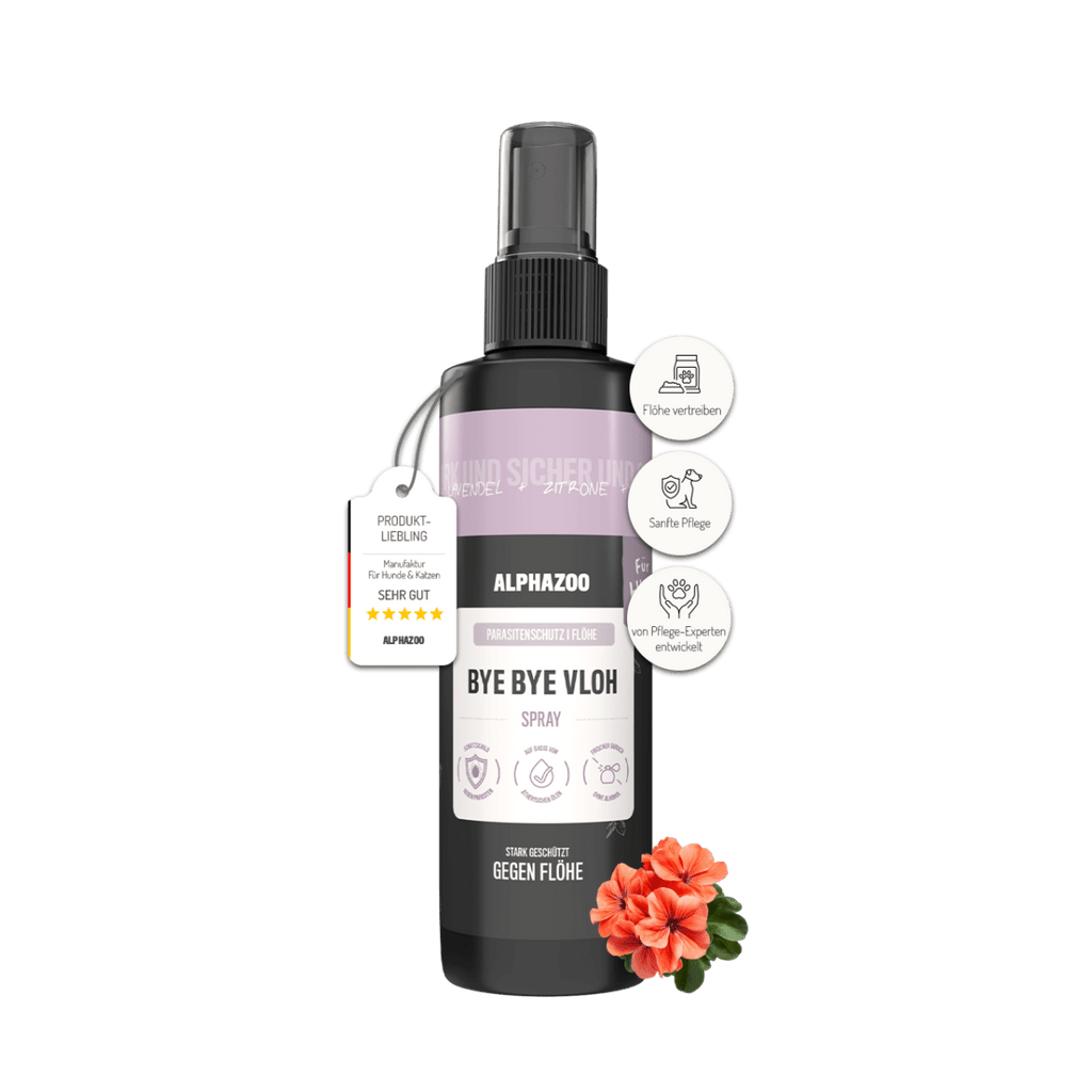 ByeByeVloh Flohspray für Hunde – pflanzlich mit Geraniol, Lavendel & Eukalyptus