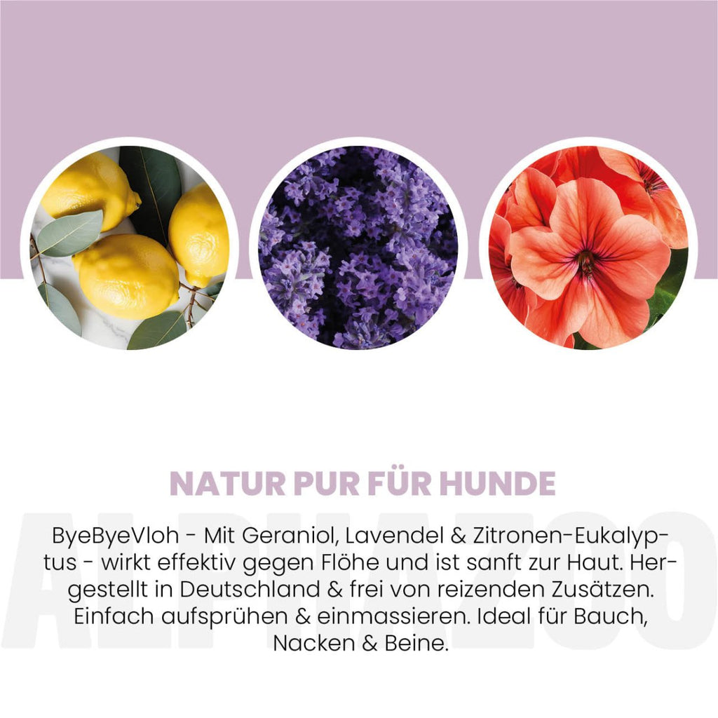 ByeByeVloh Flohspray für Hunde – pflanzlich mit Geraniol, Lavendel & Eukalyptus