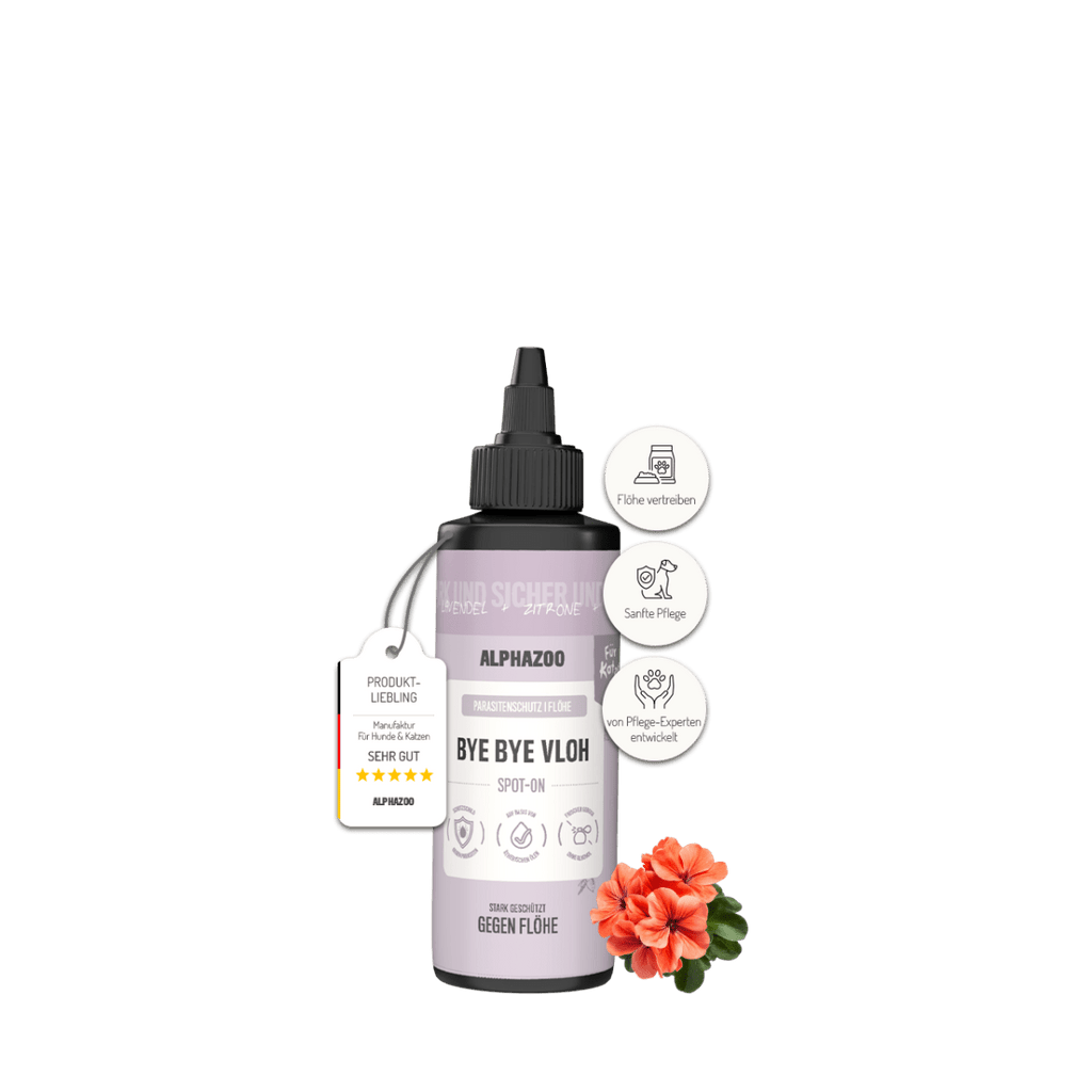 ByeByeVloh Spot-On für Katzen – pflanzlich mit Geraniol & Zitronen-Eukalyptus