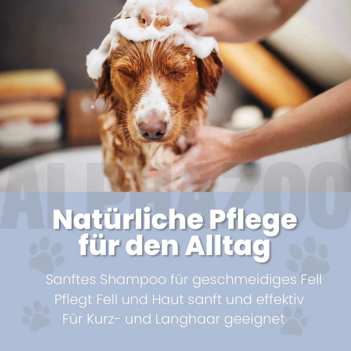 Coco Loco Shampoo für Hunde – mit Kokosnuss, parabenfrei & silikonfrei