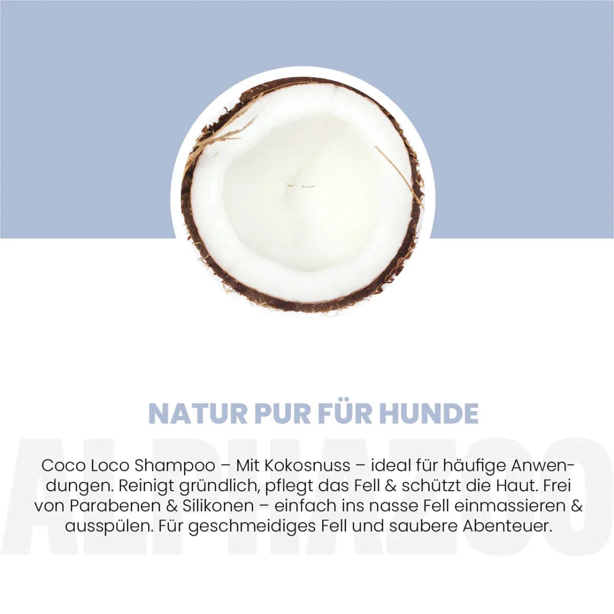 Coco Loco Shampoo für Hunde – mit Kokosnuss, parabenfrei & silikonfrei