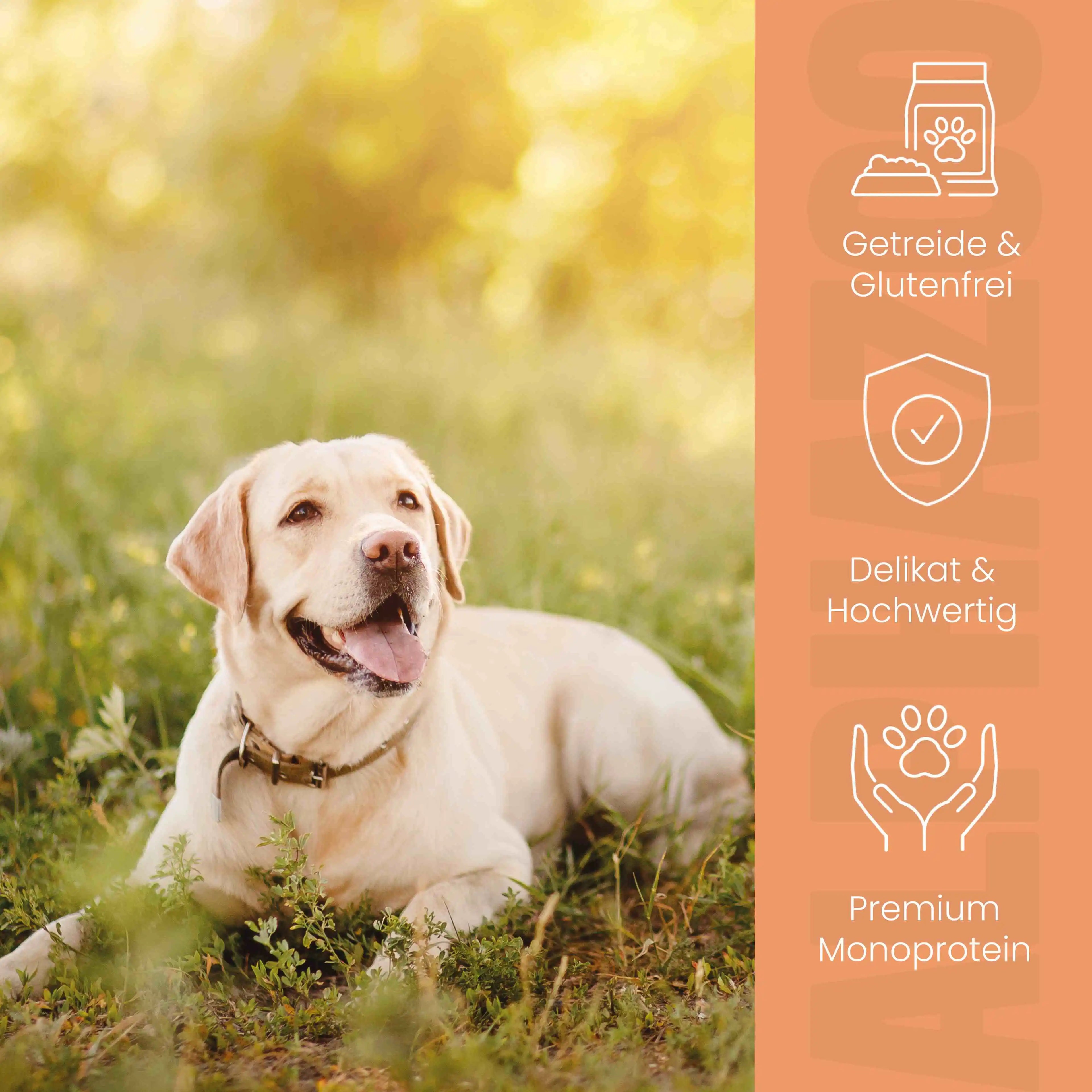 alphazoo Junior Nassfutter Ente + Huhn – Welpen & junge Hunde, getreidefrei