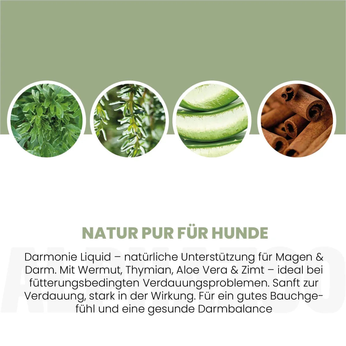 Darmonie Liquid für Hunde – Leinöl mit Wermut, Thymian & Aloe Vera