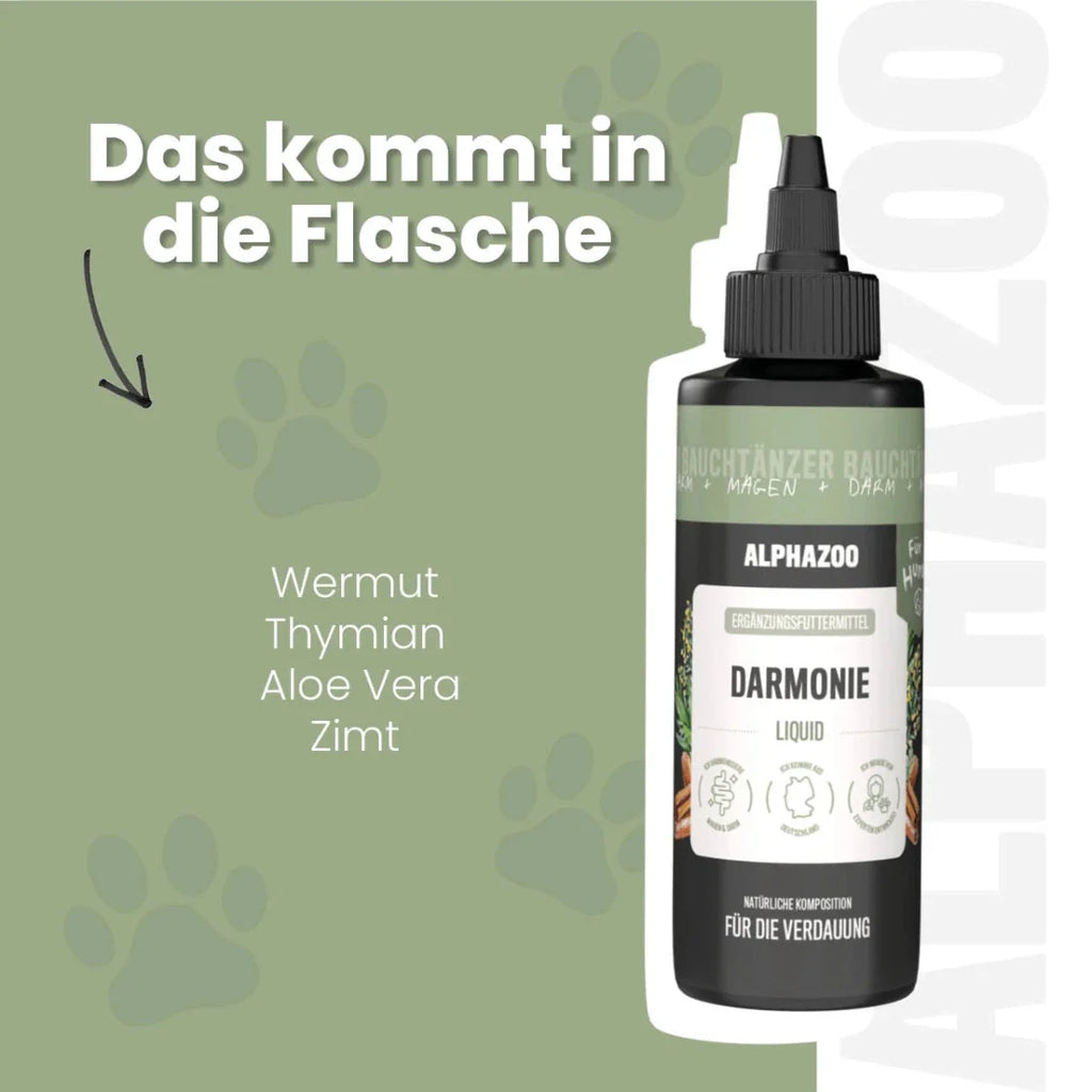 Darmonie Liquid für Hunde – Leinöl mit Wermut, Thymian & Aloe Vera