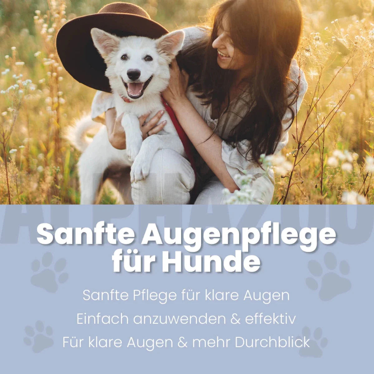 Durchblick Augenpflege für Hunde – mit Aloe Vera, Kamille & Calendula