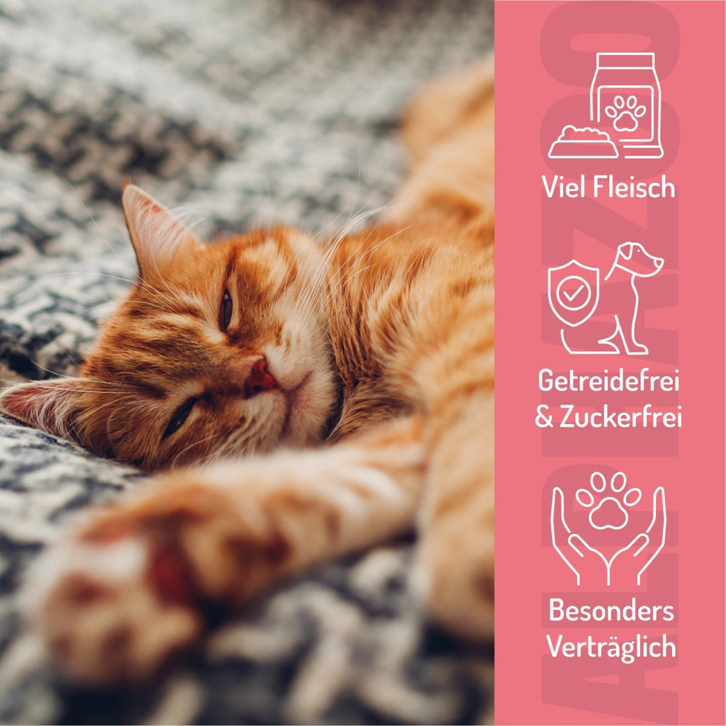 Ente Ente Ente Ente – Softsnack für Katzen, 96% Ente, getreidefrei