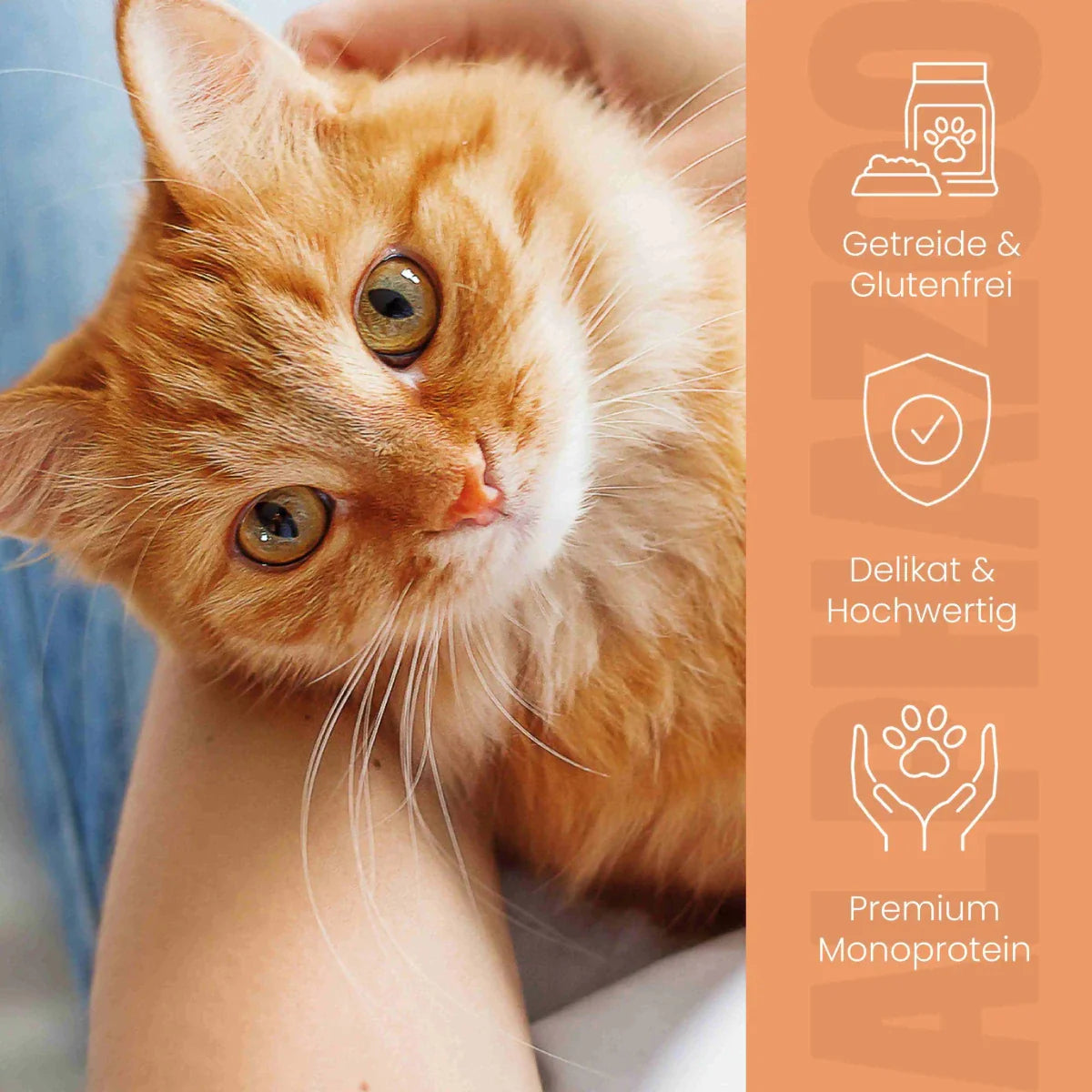 Ente + Huhn Nassfutter für Katzen – 65% Fleisch, mit Lachsöl, Kürbis & Grünlippmuschel