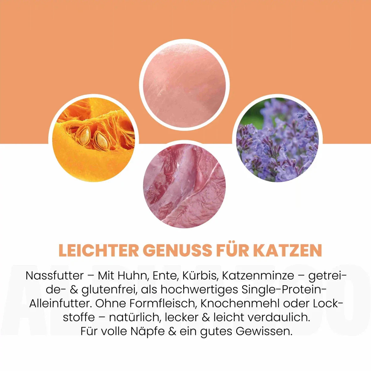 Ente + Huhn Nassfutter für Katzen – 65% Fleisch, mit Lachsöl, Kürbis & Grünlippmuschel