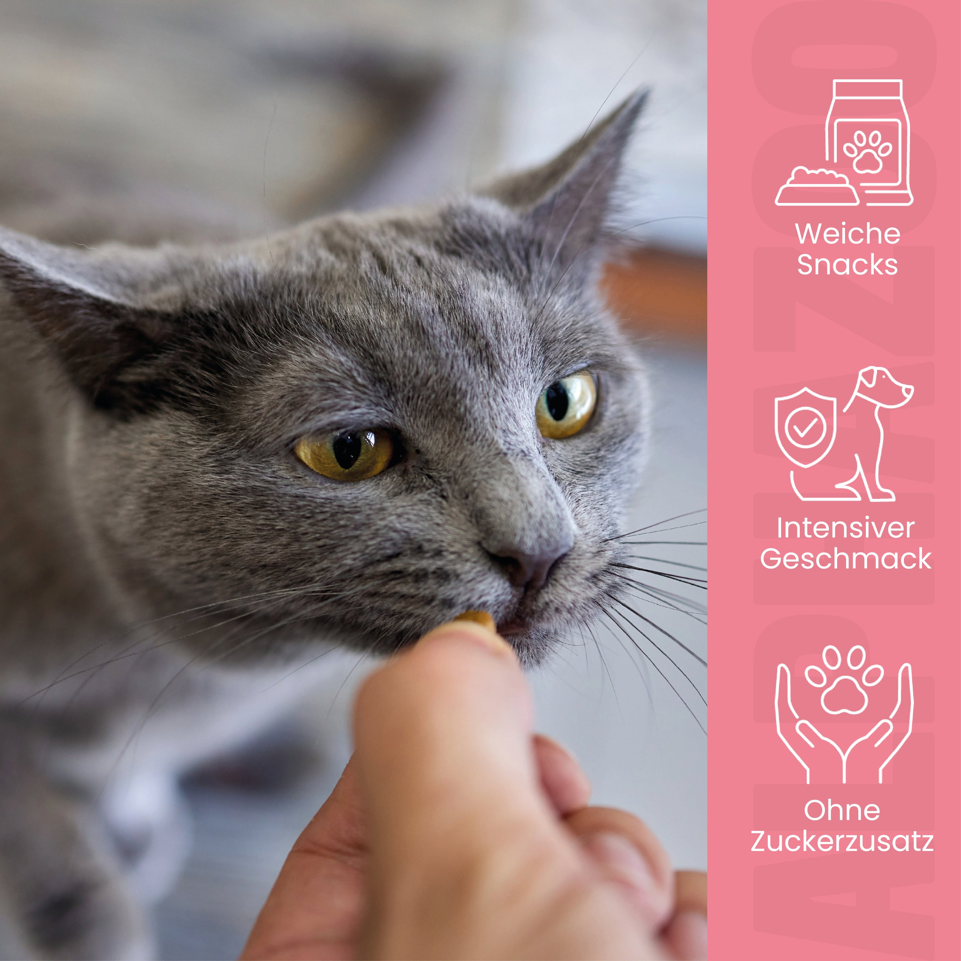 Ente Ente Ente Ente – Softsnack für Katzen, 96% Ente, getreidefrei