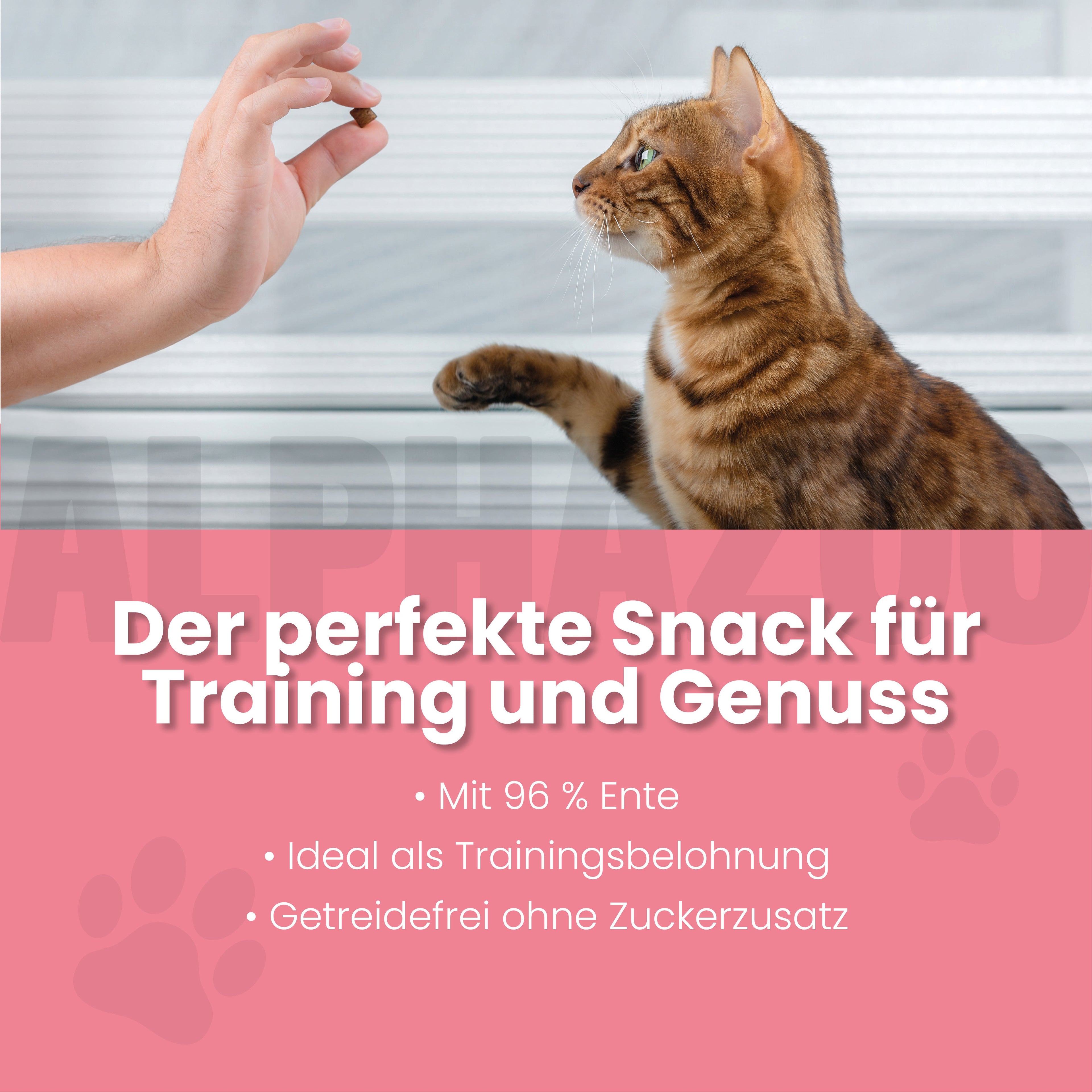 Ente Ente Ente Ente – Softsnack für Katzen, 96% Ente, getreidefrei