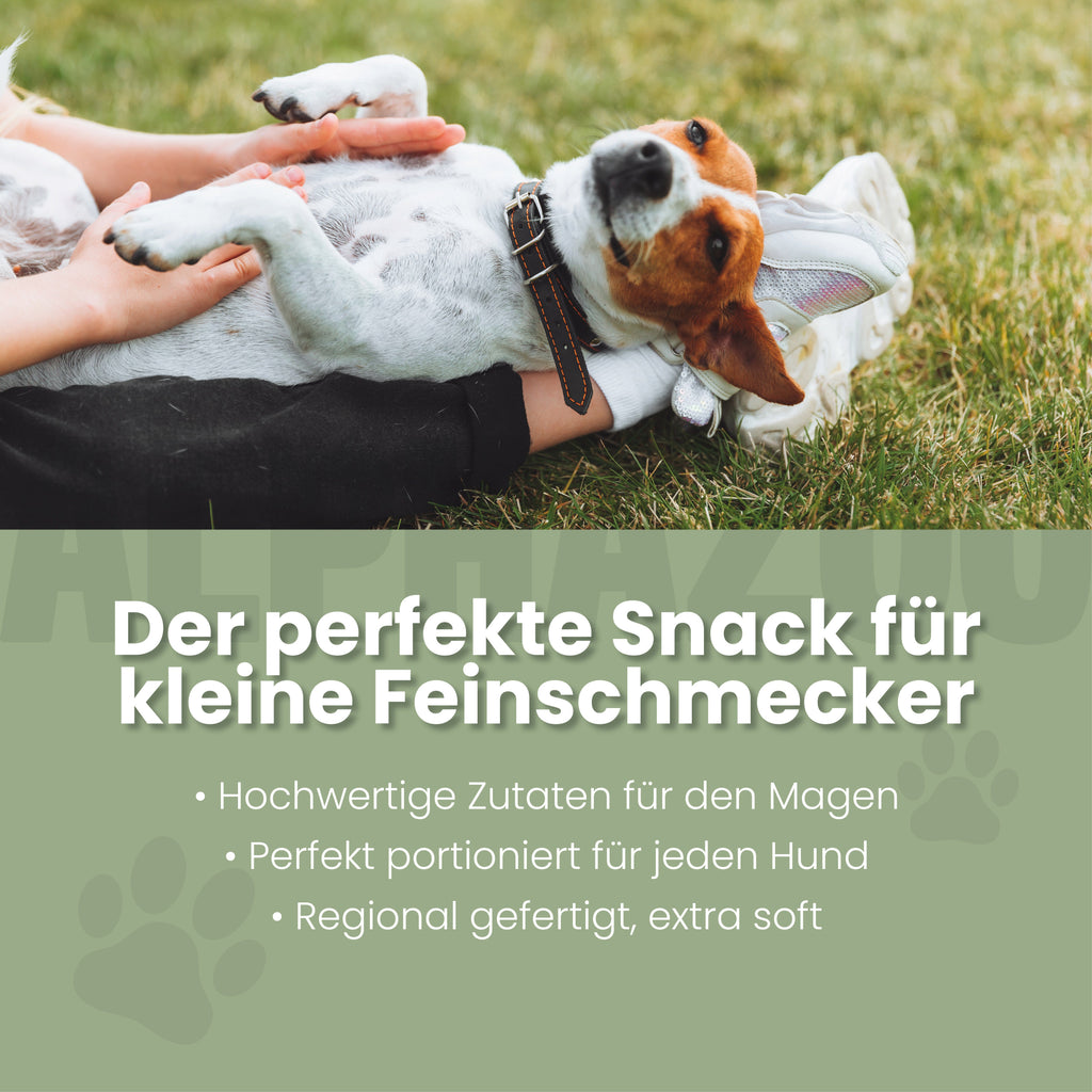 Fauchi Bauchi – Herzförmige Hundeleckerlis mit Präbiotikum, Erdnussbutter & Lachsöl