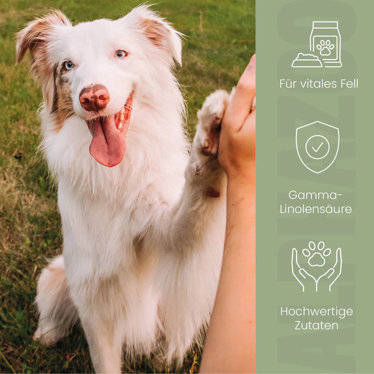 Fellliebe Futteröl für Hunde – Lachs, Mandel & Argan kaltgepresst