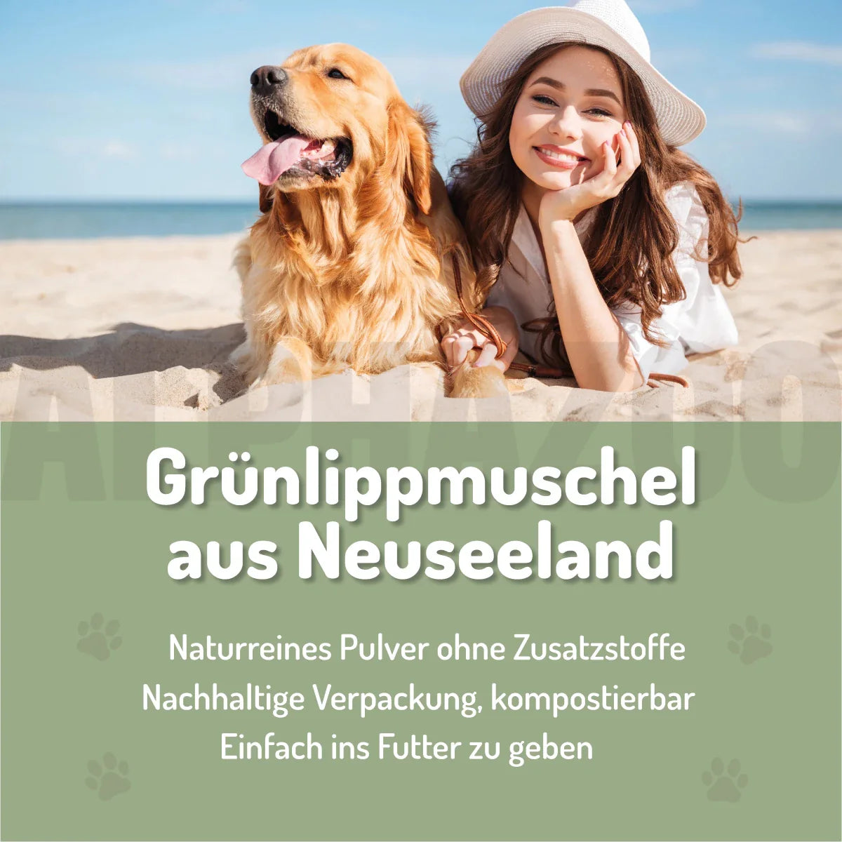 Grünlippmuschel-Pulver für Hunde & Katzen – 100% Vollfettqualität aus Neuseeland