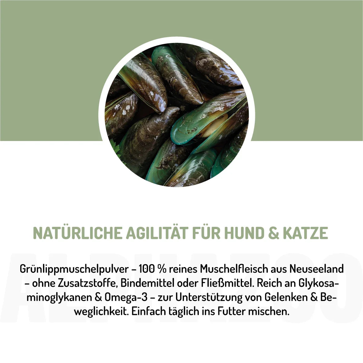 Grünlippmuschel-Pulver für Hunde & Katzen – 100% Vollfettqualität aus Neuseeland