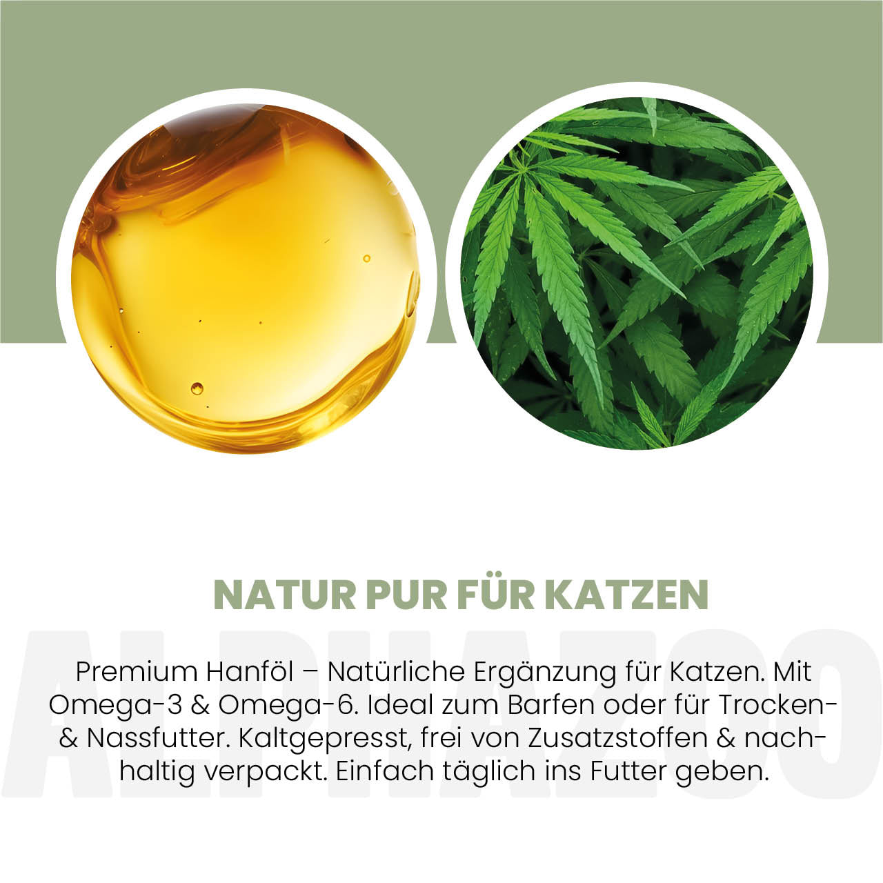 Hanföl für Katzen – kaltgepresst, THC-frei, optimales Omega-3/6-Verhältnis
