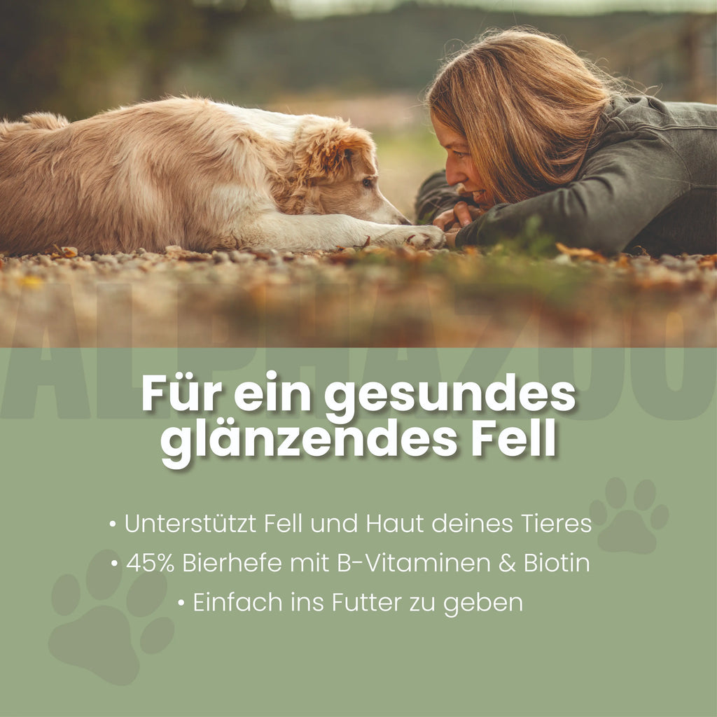 Bierhefe Tabletten für Hunde – mit Biotin für Fell & Haut