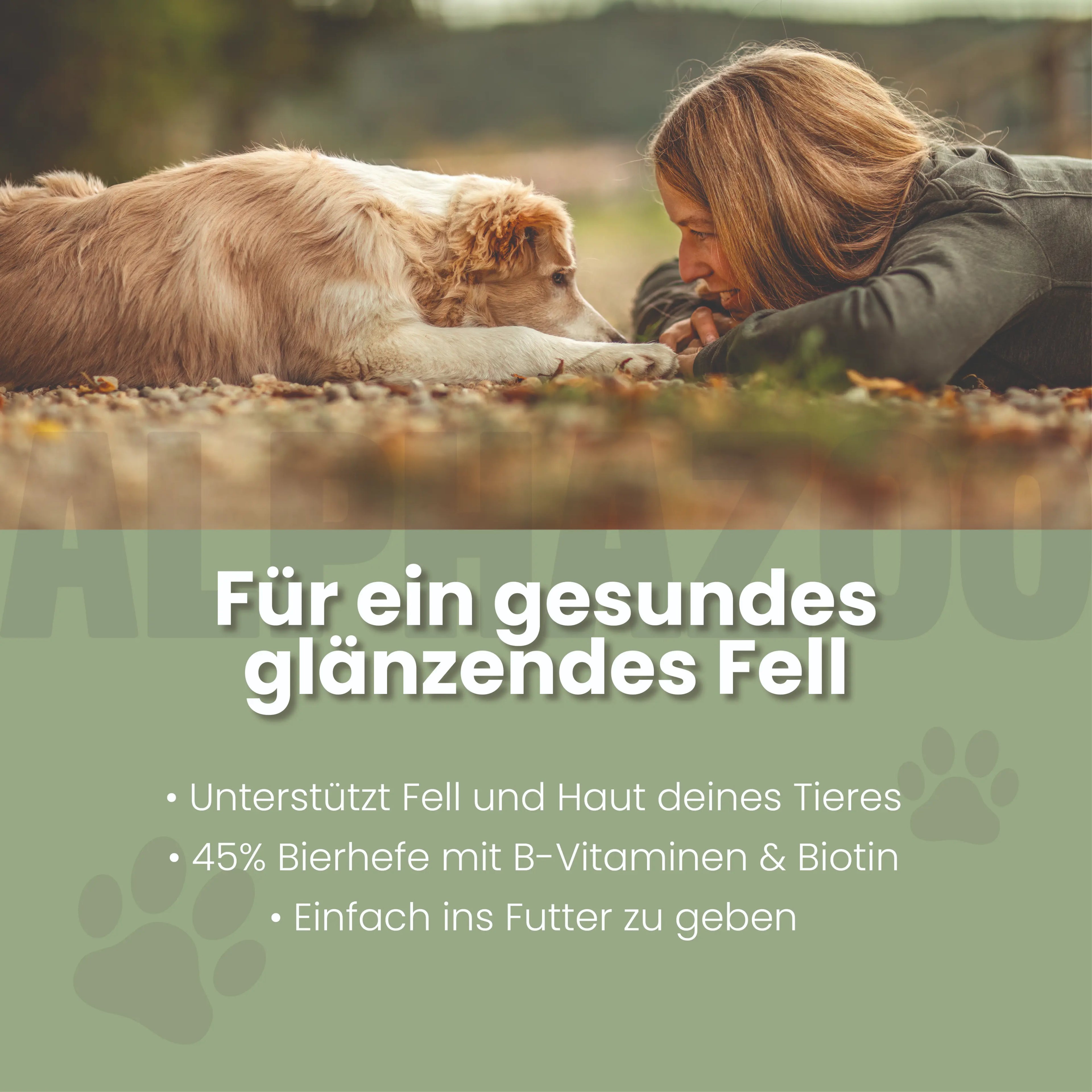 Bierhefe Tabletten für Hunde – mit Biotin für Fell & Haut