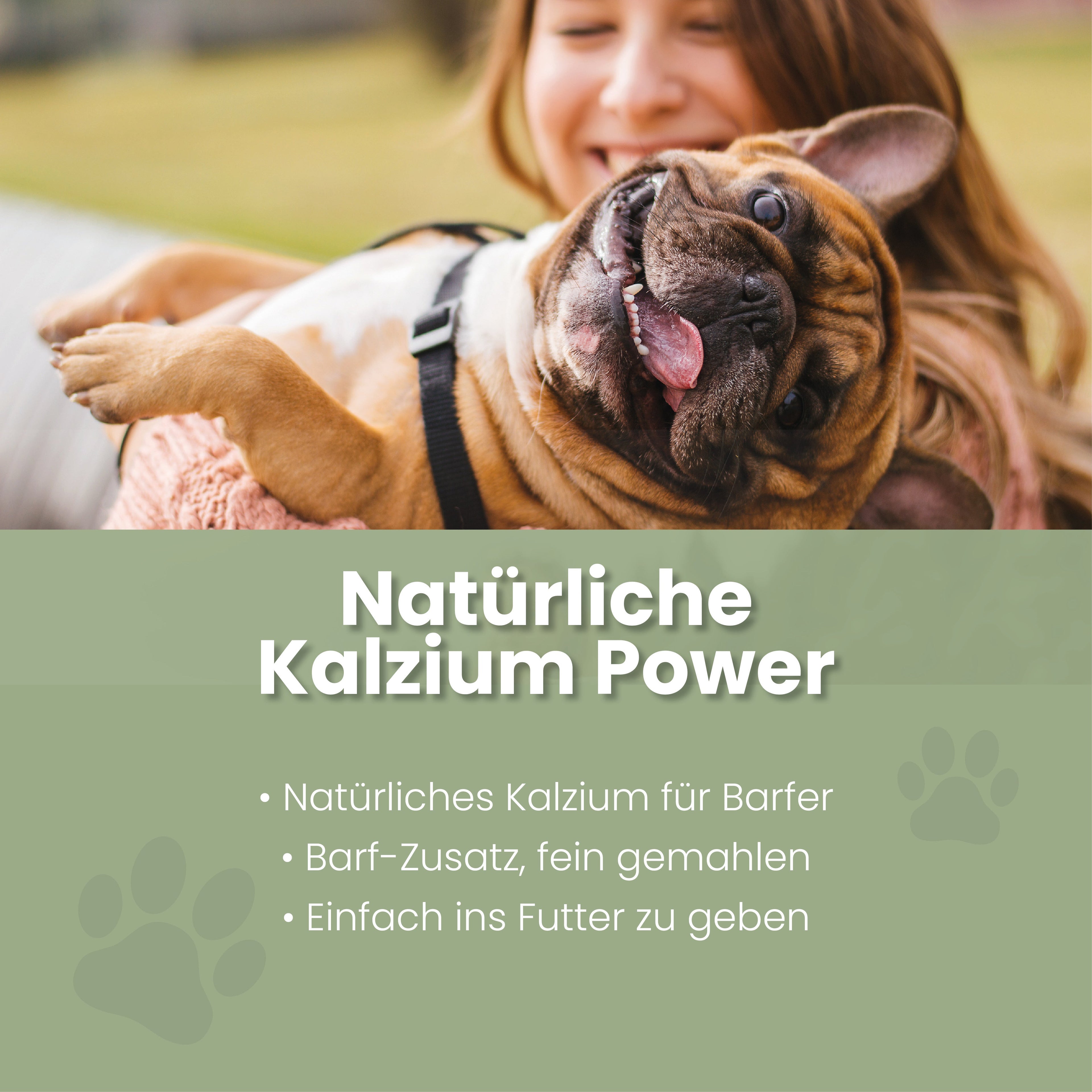 Eierschalenpulver für Hunde & Katzen – 36% Kalzium, ideal zum Barfen