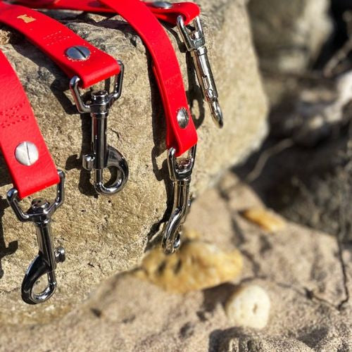 Hundeleine UM'S ECK (1,50 m) aus BioThane®/POP - Band