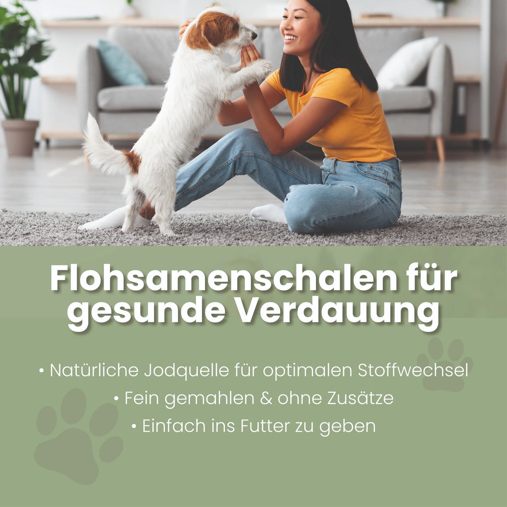 Flohsamenschalen gemahlen für Hunde & Katzen – 99% rein, glutenfrei