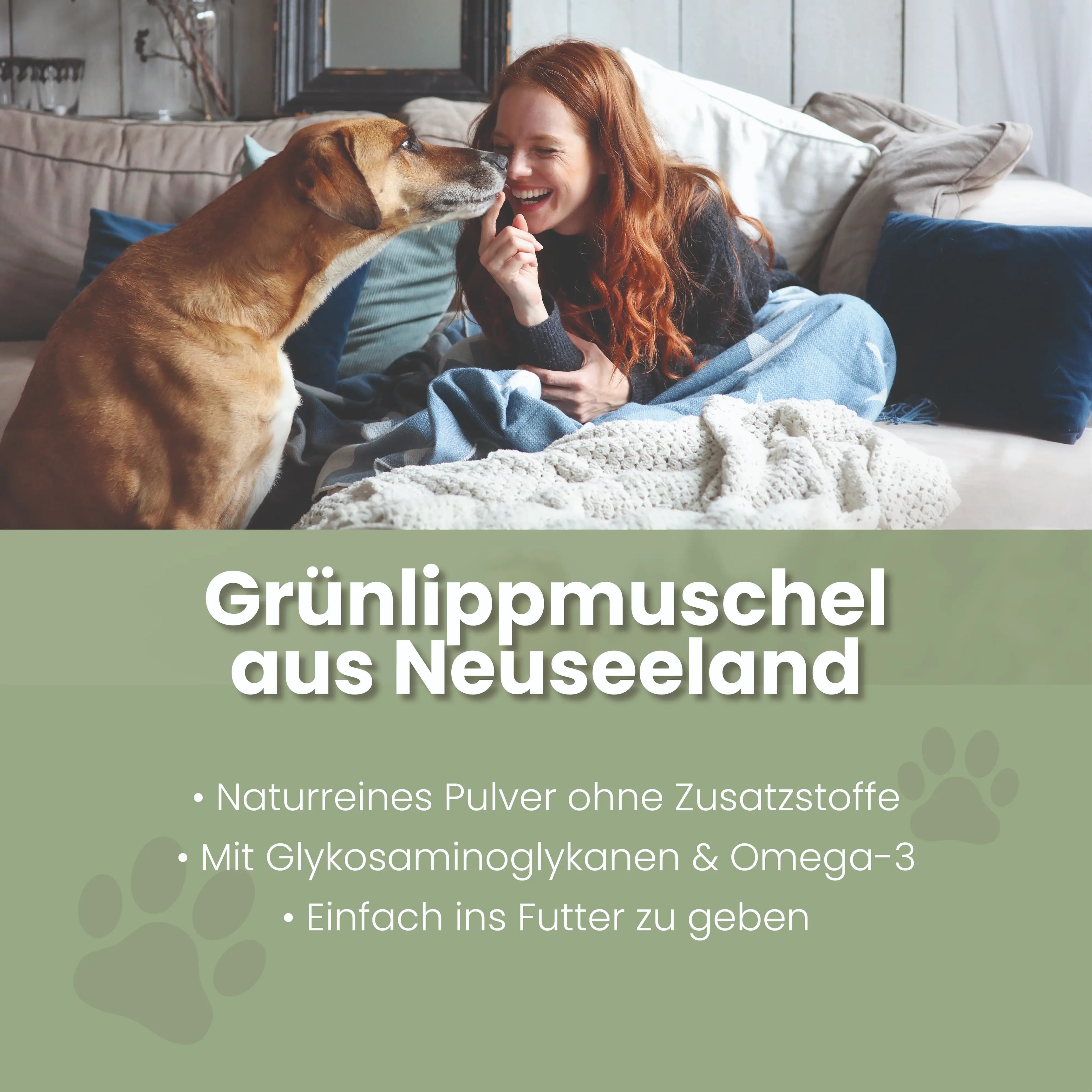 Grünlippmuschel-Pulver für Hunde & Katzen – 100% Vollfettqualität aus Neuseeland