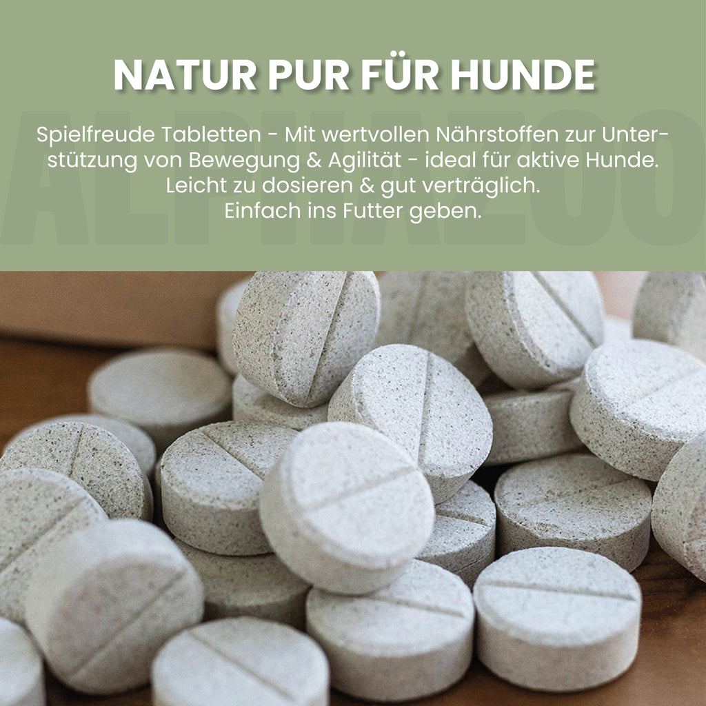 Spielfreude Gelenk-Tabletten für Hunde – mit Glucosamin & Chondroitin
