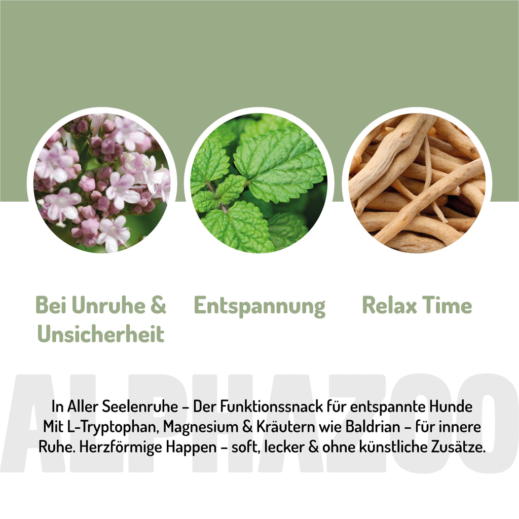 In Aller Seelenruhe – Beruhigungssnack für Hunde mit Baldrian, Ashwagandha & L-Tryptophan