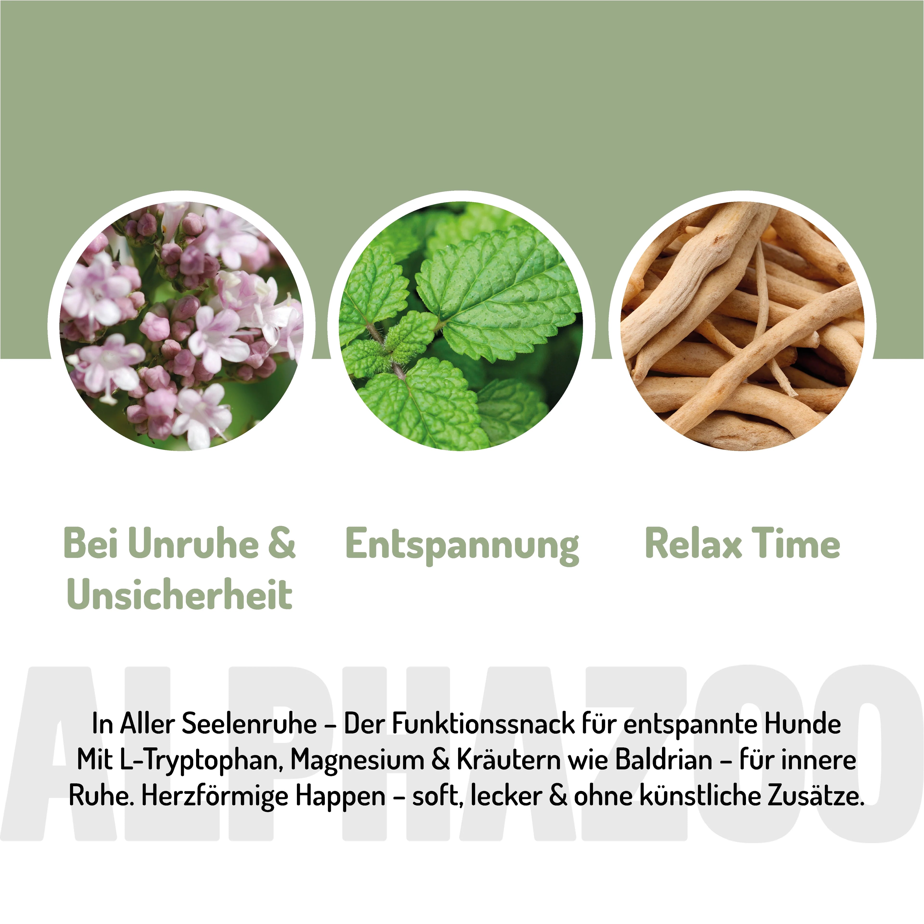 In Aller Seelenruhe – Beruhigungssnack für Hunde mit Baldrian, Ashwagandha & L-Tryptophan
