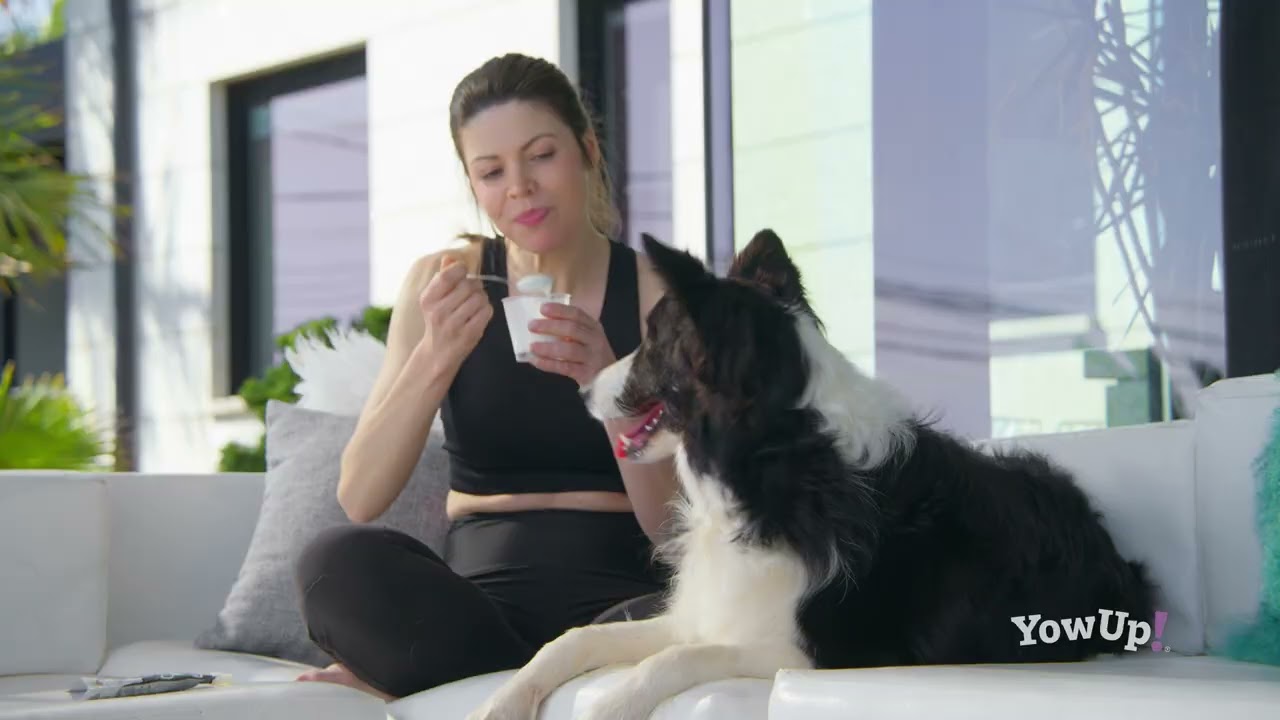 YowUp! Yoghurt Cats Natural Prebiotics