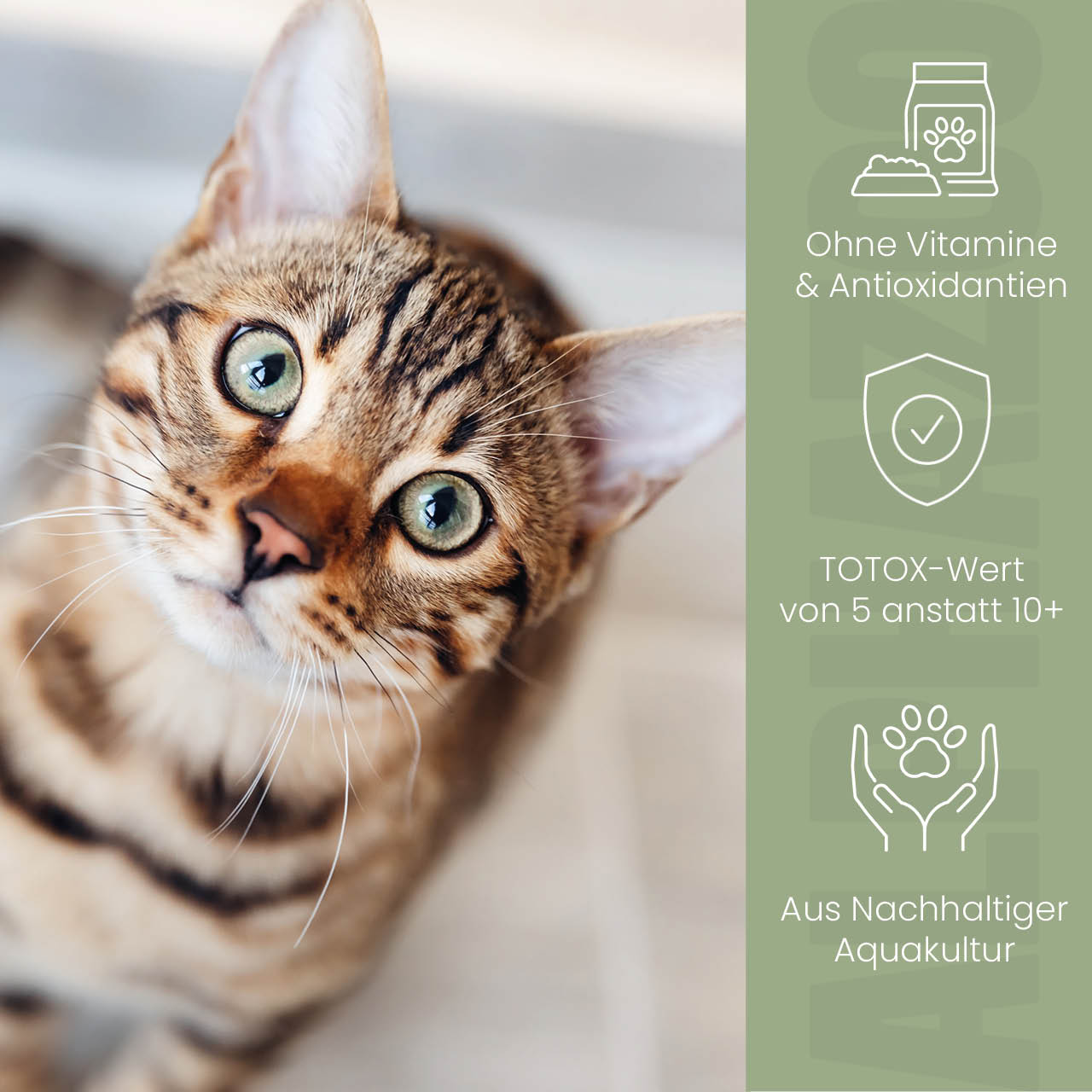 Lachsöl für Katzen – EPA & DHA aus norwegischem Lachs, 100ml & 250ml