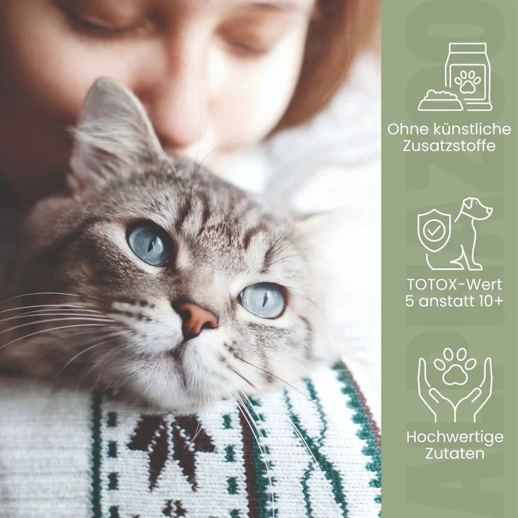 Lachsöl für Katzen – EPA & DHA aus norwegischem Lachs, 100ml & 250ml