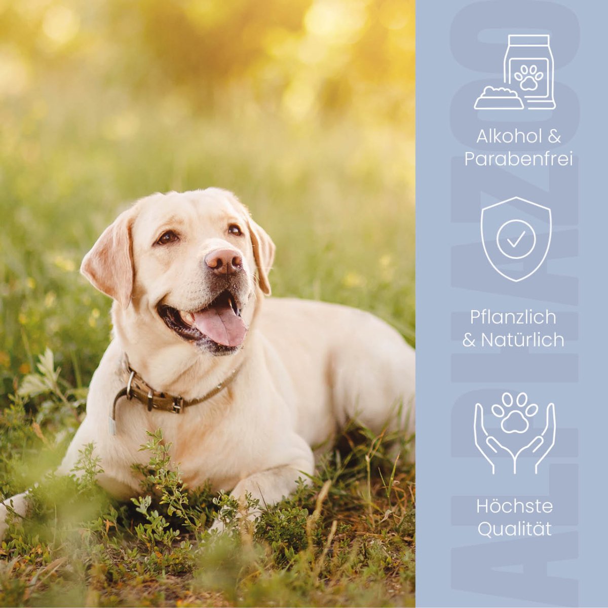 Lauscher-Auf Ohrenreiniger für Hunde – pflanzlich mit Kamille & Calendula