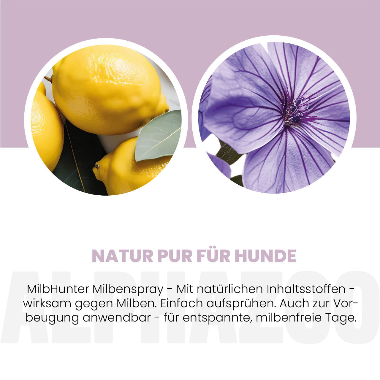 MilbHunter Milbenspray für Hunde – pflanzlich mit Geraniol & Zitronen-Eukalyptus