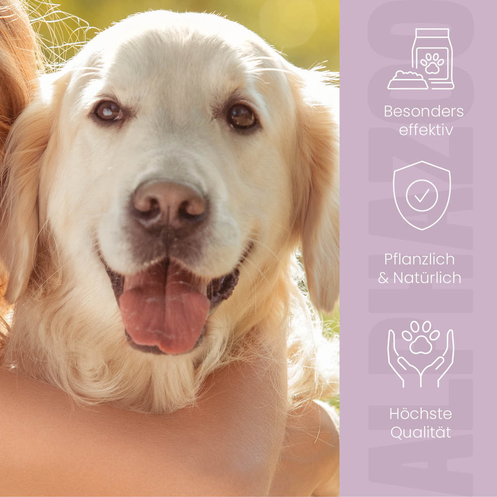 MilbHunter Milbenspray für Hunde – pflanzlich mit Geraniol & Zitronen-Eukalyptus