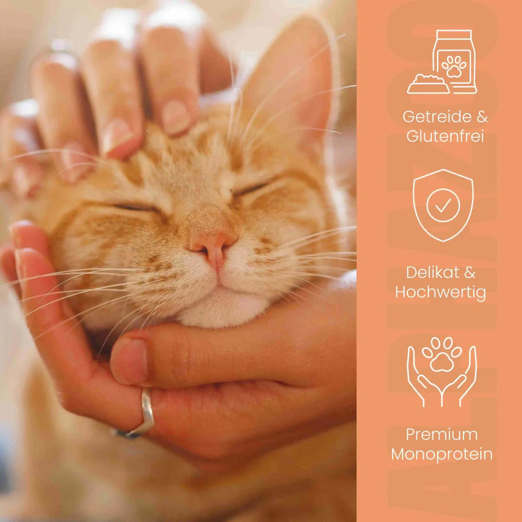 Monoprotein Huhn Nassfutter für Katzen – 65% Fleisch, mit Lachsöl, Karotten & Grünlippmuschel