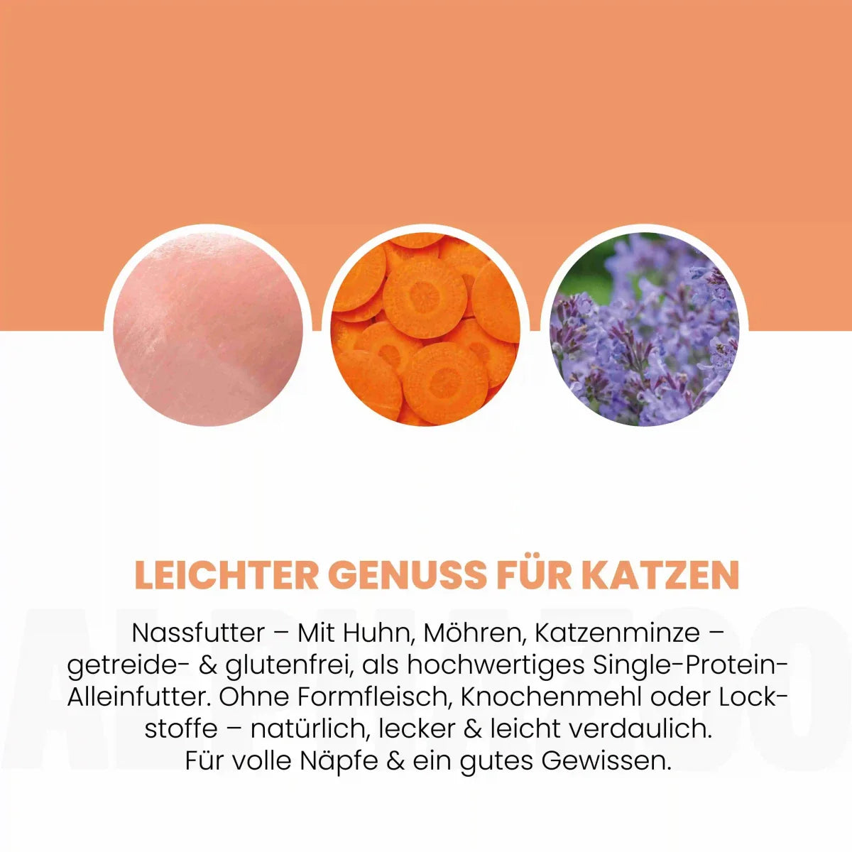 Monoprotein Huhn Nassfutter für Katzen – 65% Fleisch, mit Lachsöl, Karotten & Grünlippmuschel