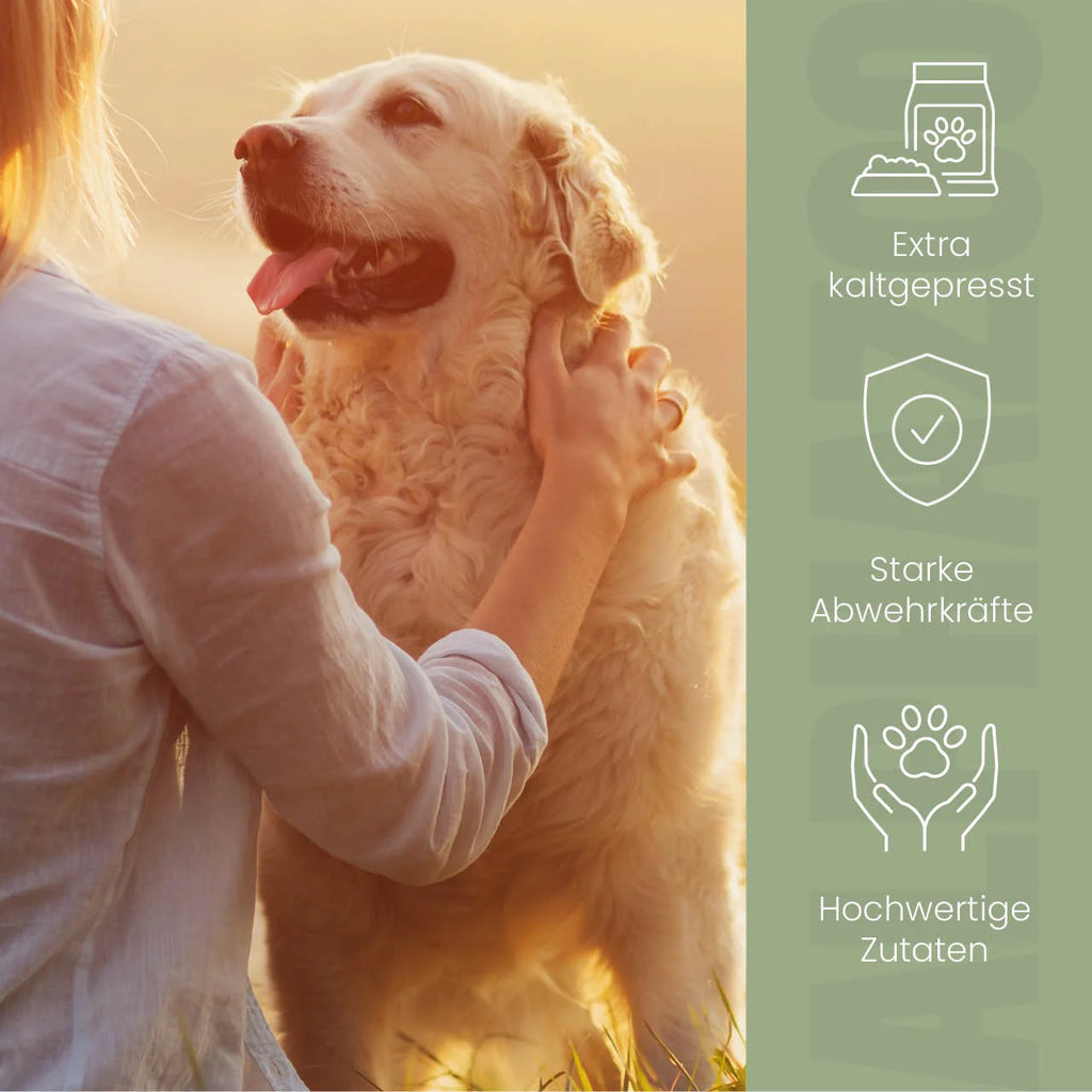 Nachtkerzenöl für Hunde – kaltgepresst & naturbelassen