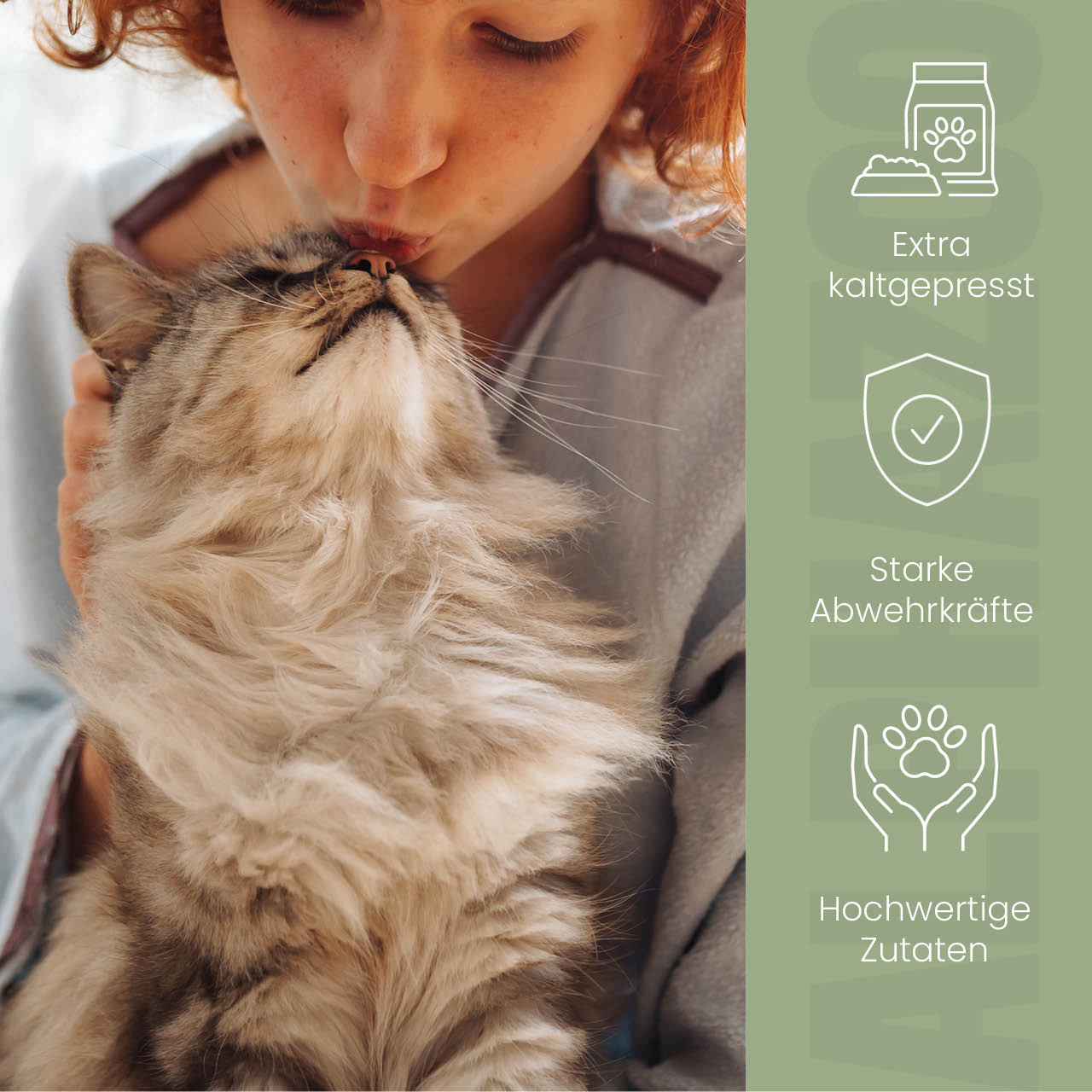 Nachtkerzenöl für Katzen – kaltgepresst & naturbelassen