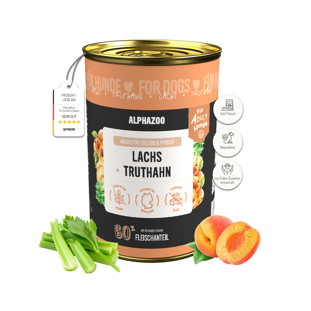 Lachs + Truthahn Nassfutter für Hunde – 60% Fleisch & Fisch, mit Omega-3, Pfirsich & Hanföl