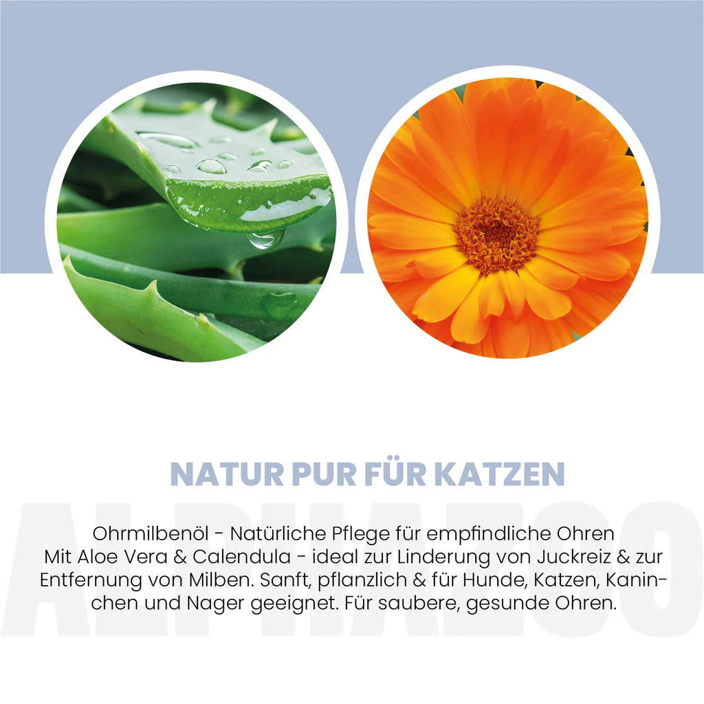 Ohrmilbenöl für Katzen – mit Calendula & Aloe Vera, sanft & pflegend