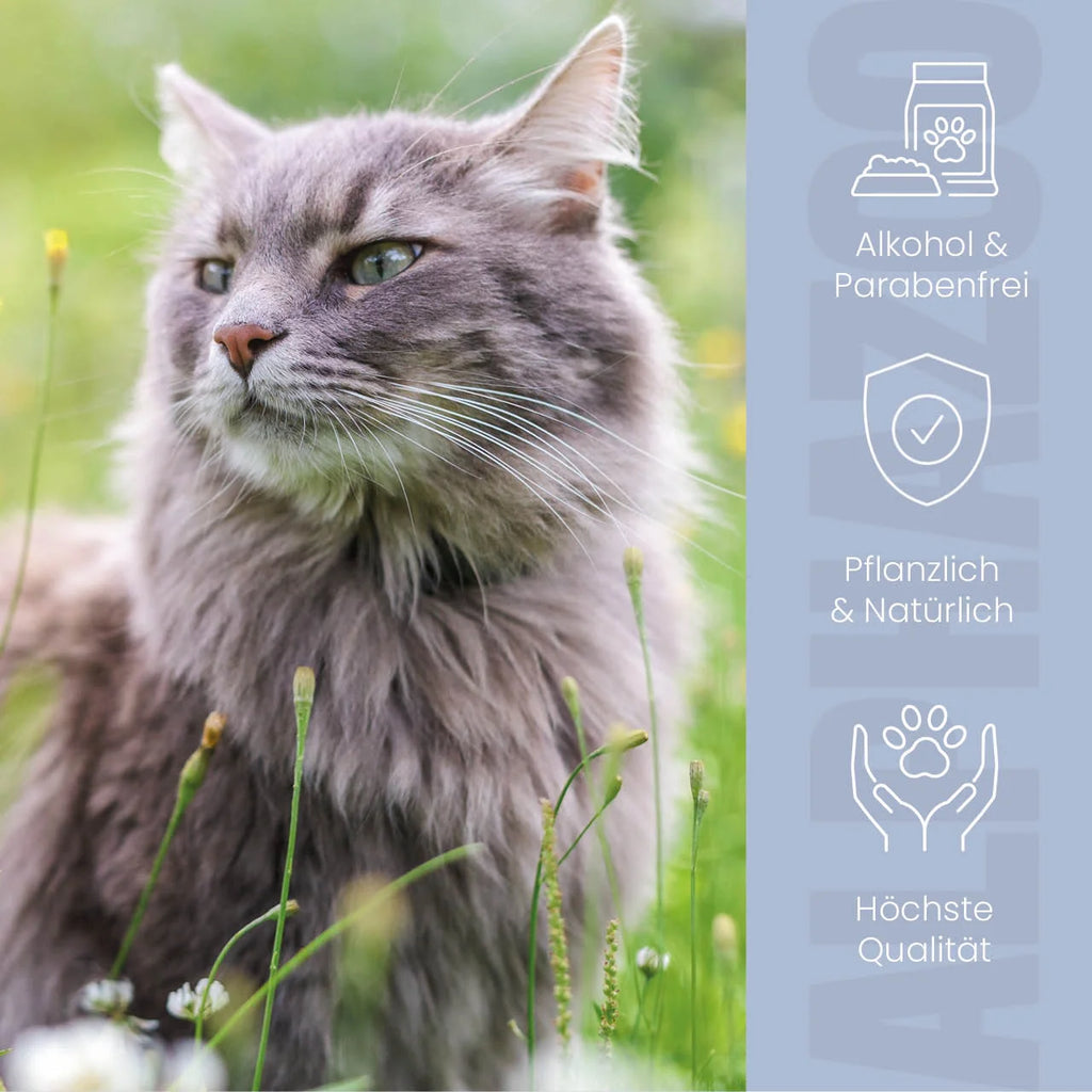 Ohrmilbenöl für Katzen – mit Calendula & Aloe Vera, sanft & pflegend