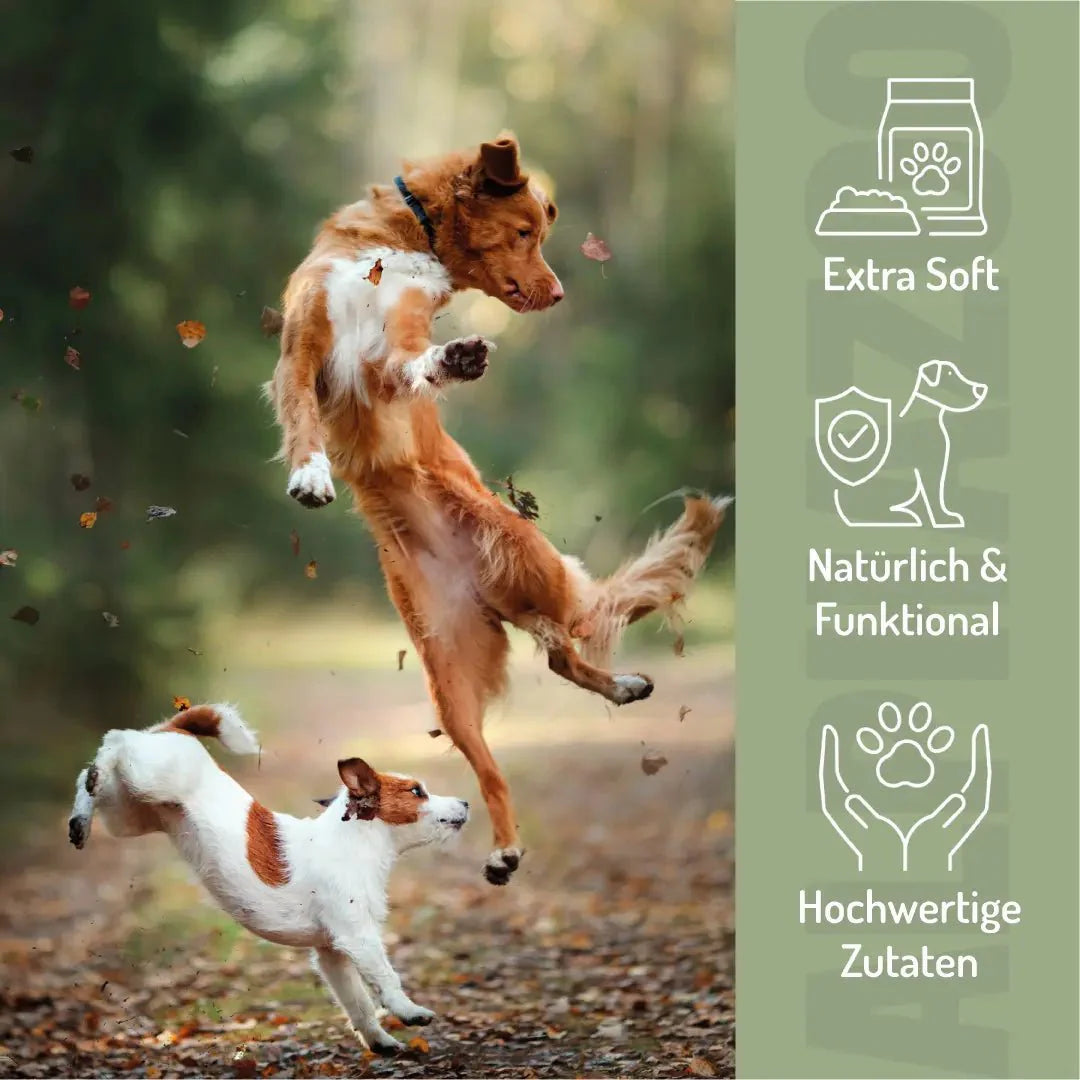Probierset Funktion-Snacks – 3 Herzsnacks für Darmflora, Gelenke & Beruhigung
