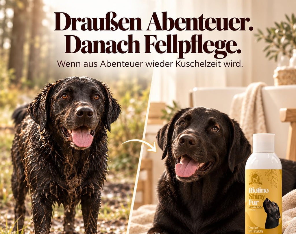 Riolino Shiny Fur Shampoo – Sanfte Pflege für glänzendes Fell