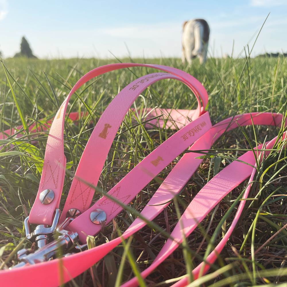 Hundeleine UM'S ECK (1,50 m) aus BioThane®/POP - Band