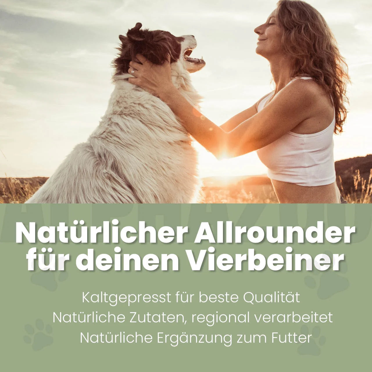 Schwarzkümmelöl für Hunde – kaltgepresst, pur & ohne Zusätze | alphazoo