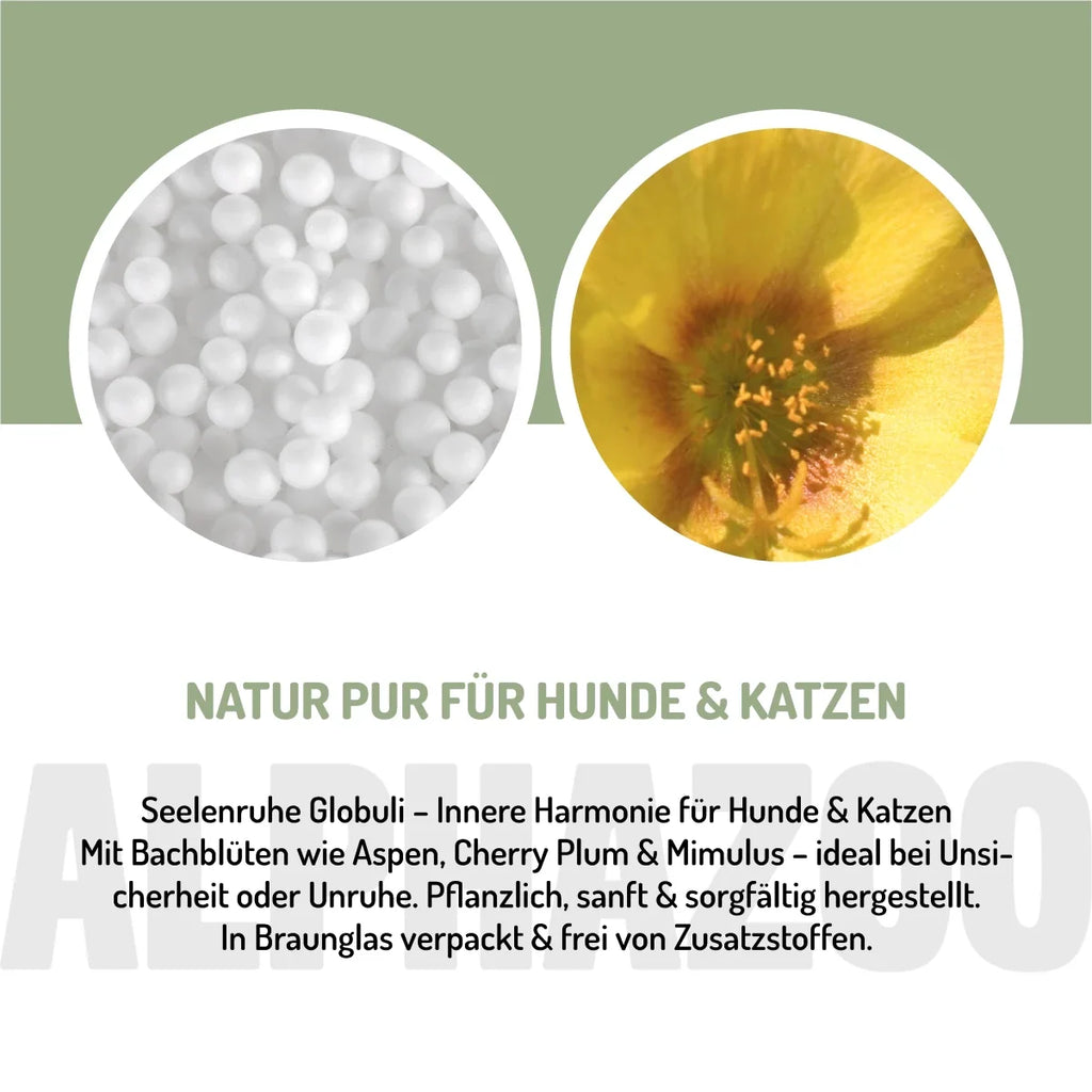 Bachblüten Globuli für Hunde & Katzen – Seelenruhe bei Angst & Stress | 15g