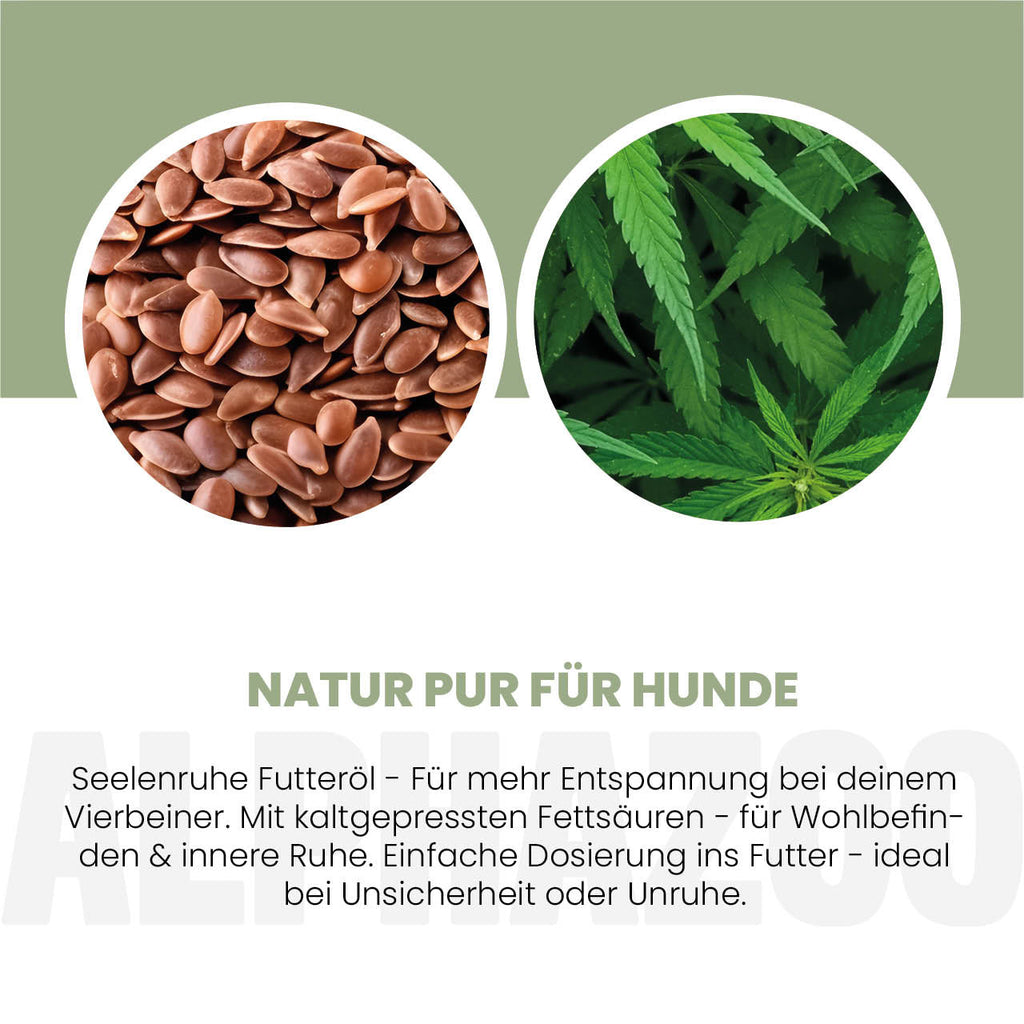 Seelenruhe Futteröl für Hunde – Leinöl mit Baldrian & Hopfen kaltgepresst