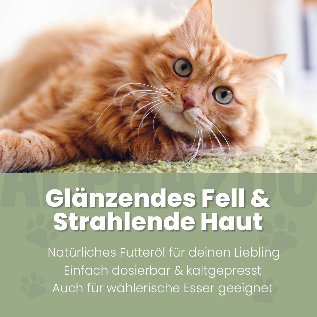 Seelenruhe Futteröl für Katzen