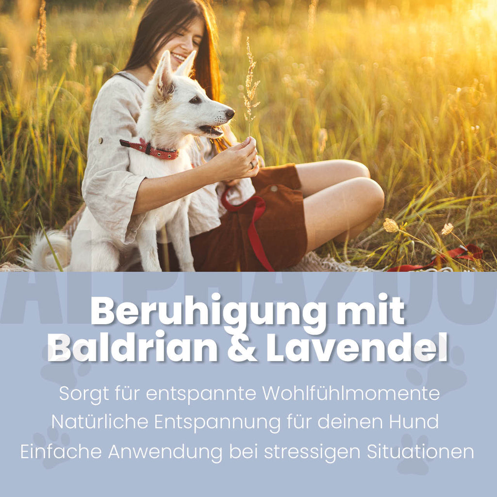 Seelenruhe Körbchenspray für Hunde – mit Baldrian & Lavendel bei Stress & Angst